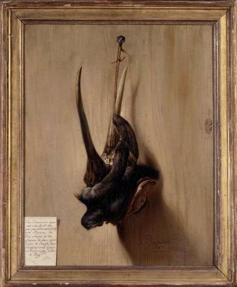 Jean-Jacques Bachelier - Tête bizarde de daim - 1757 - © Nicolas Mathéus - Musée de la Chasse et de la Nature